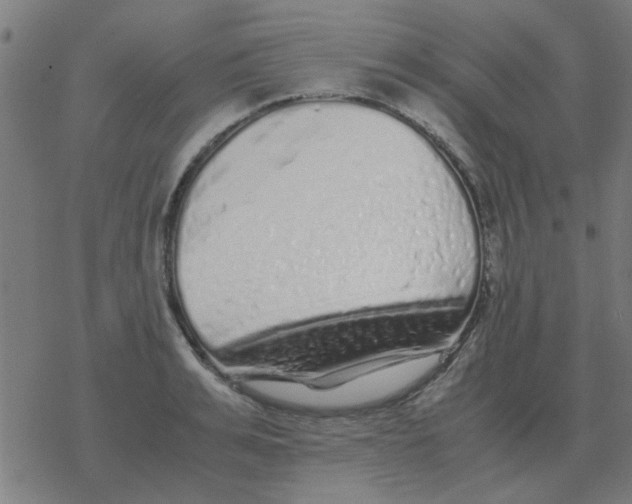 X0000077390991200611101750