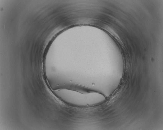 X0000077390992200611101750