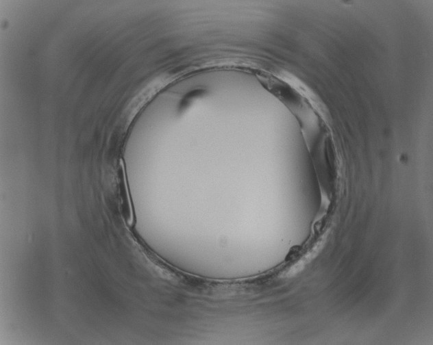 X0000077390993200611101750