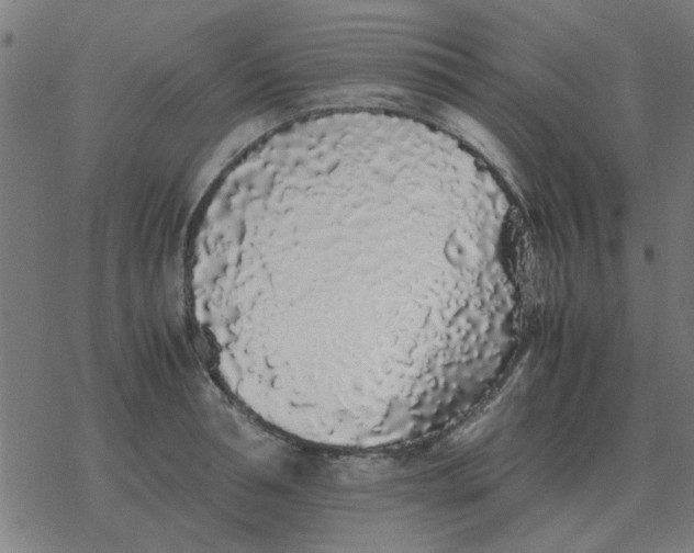 X0000077390994200611101750