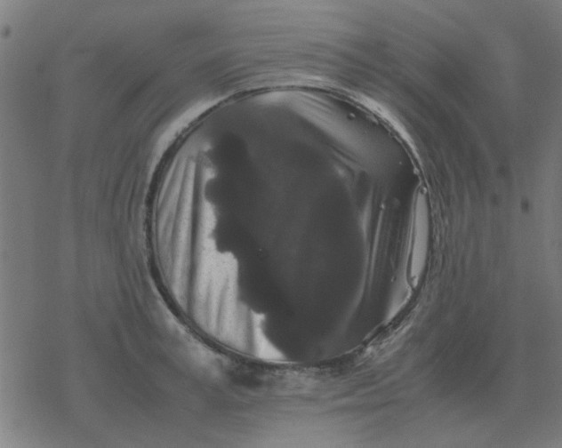 X0000077390995200611101750