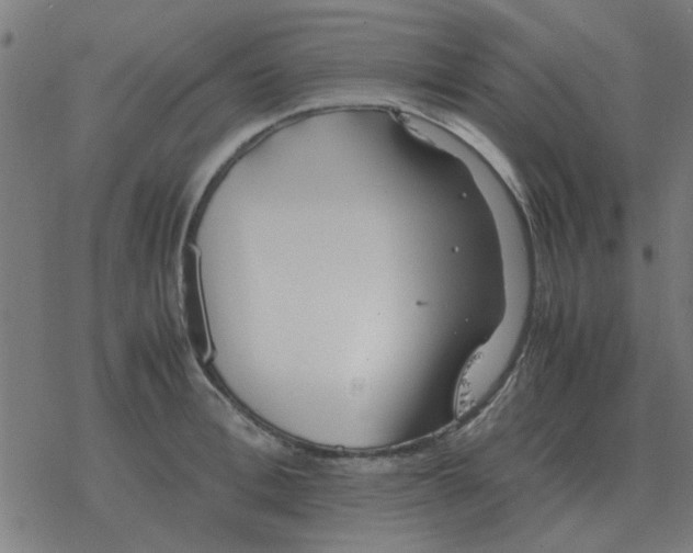 X0000077390996200611101750