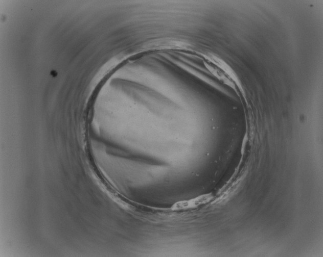 X0000077390997200611101750