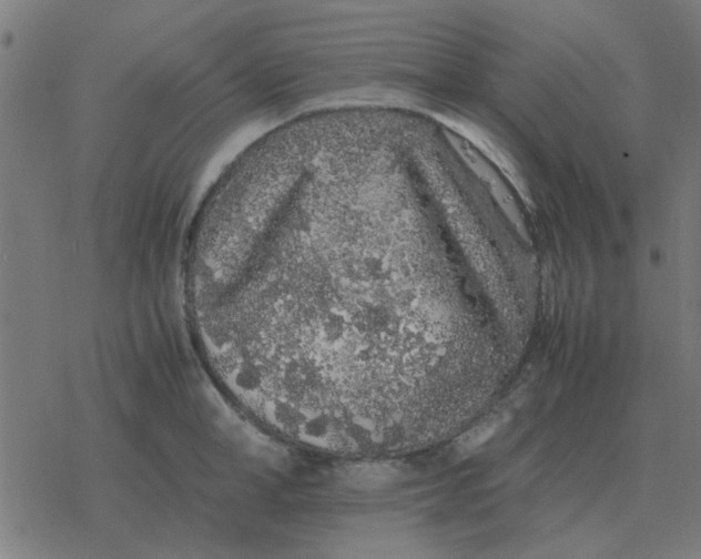 X0000077390998200611101750