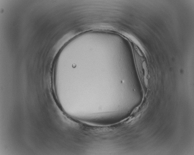 X0000077390999200611101750