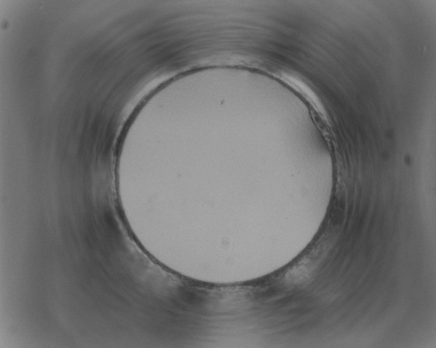 X0000077391000200611101750