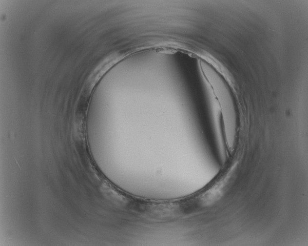 X0000077391001200611101750