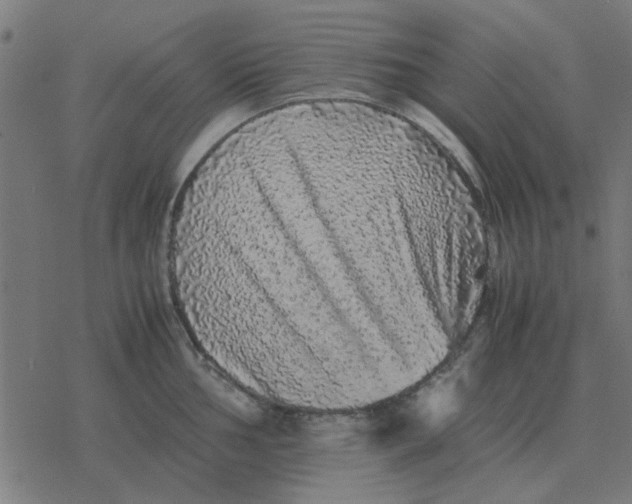 X0000077391002200611101750