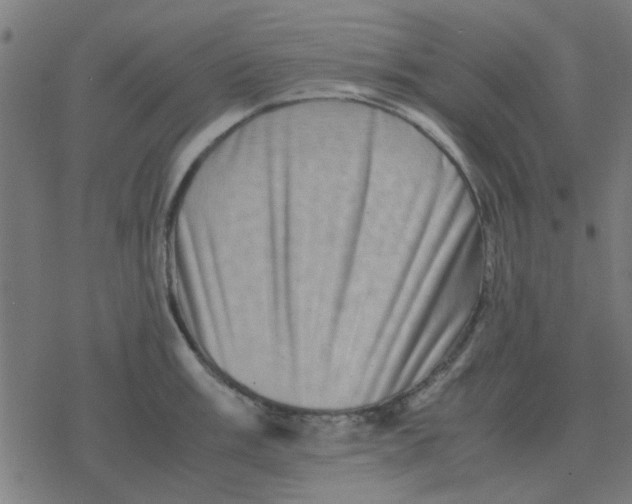 X0000077391003200611101750