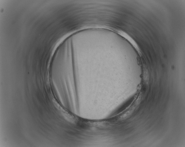 X0000077391004200611101750