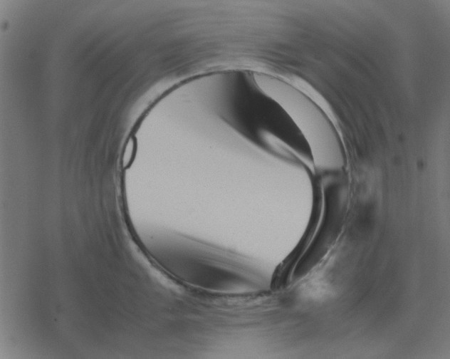 X0000077391005200611101750