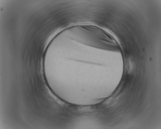 X0000077391006200611101750