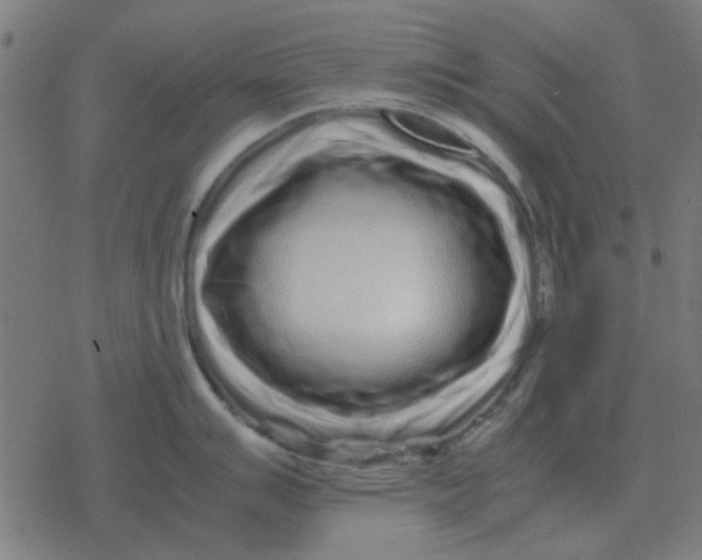 X0000077391007200611101750