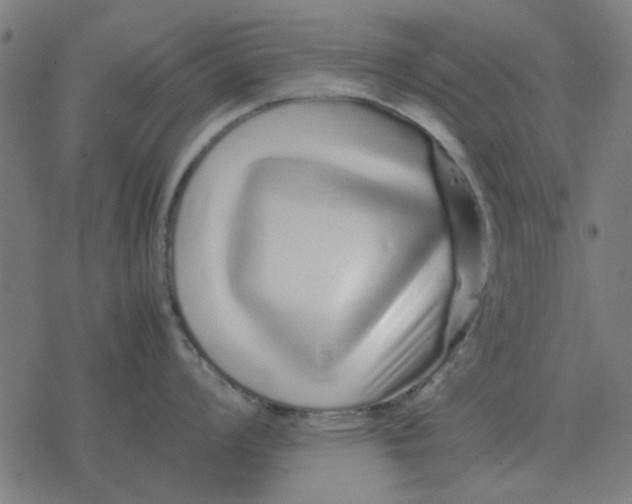 X0000077391008200611101750