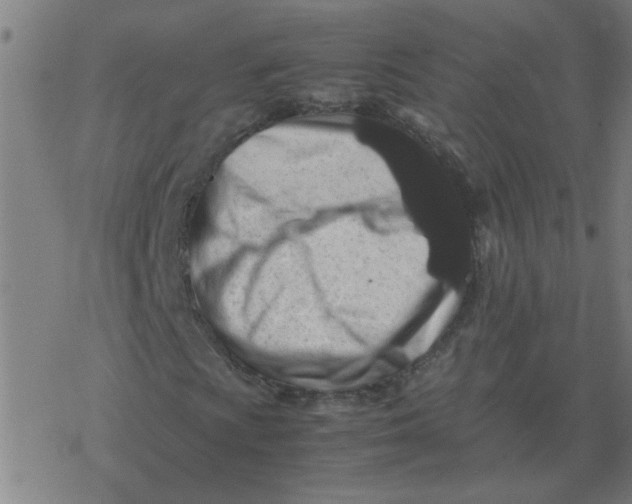 X0000077391009200611101749