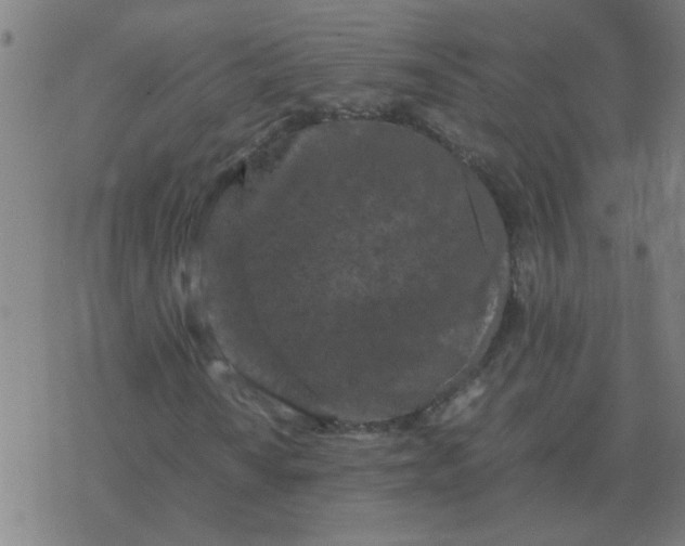 X0000077391010200611101749