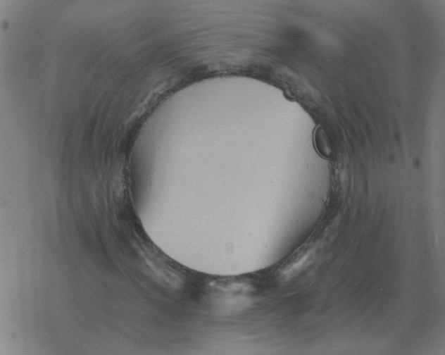 X0000077391012200611101749