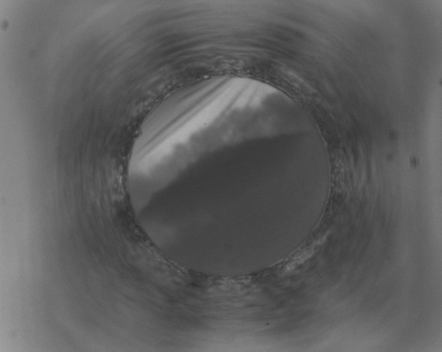 X0000077391013200611101749