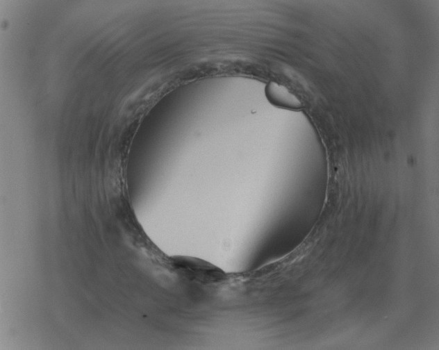 X0000077391014200611101749