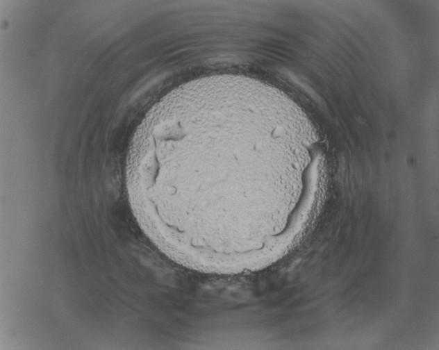 X0000077391015200611101749