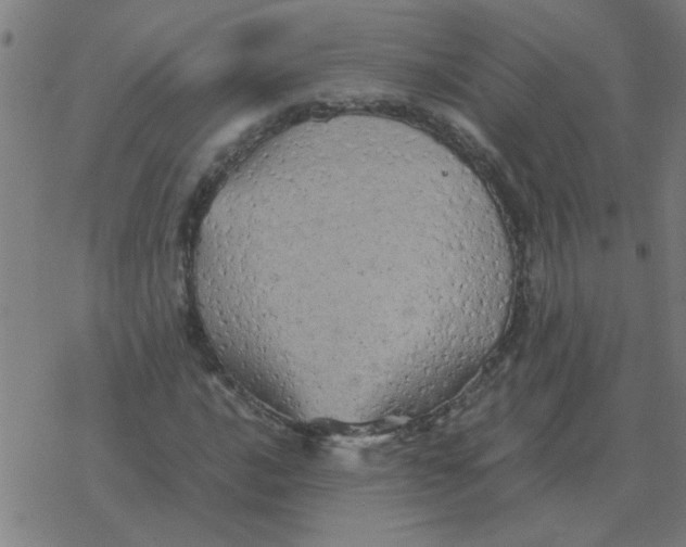 X0000077391016200611101749