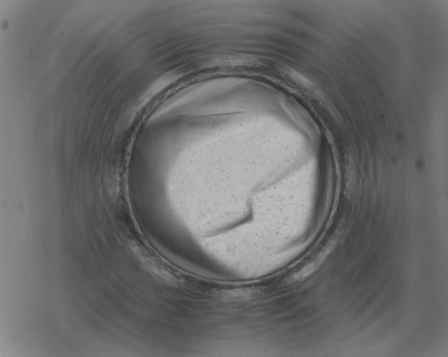 X0000077391017200611101749