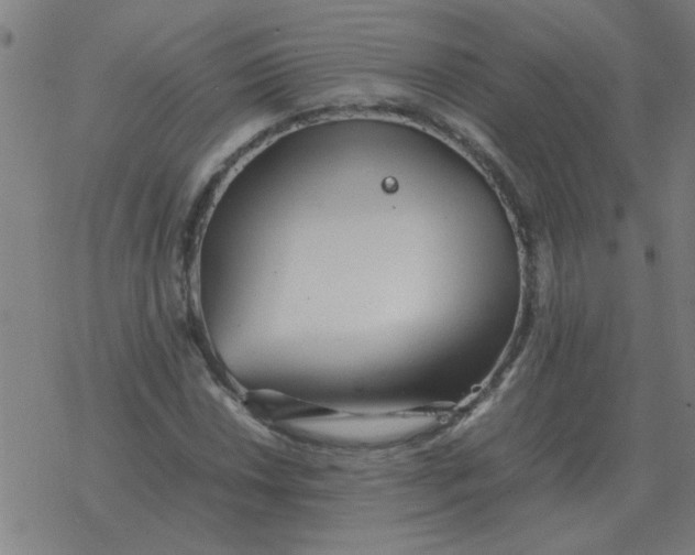 X0000077391018200611101749