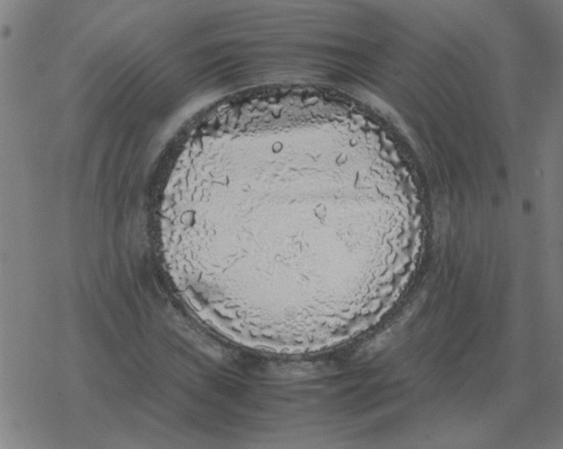 X0000077391019200611101749