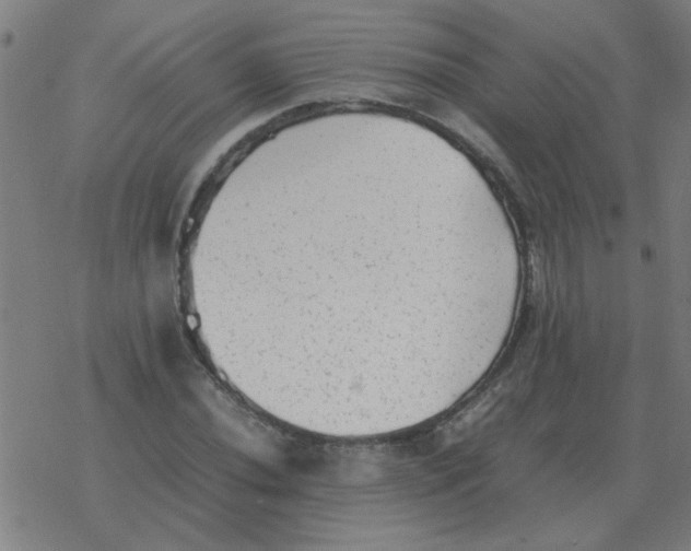 X0000077391020200611101749