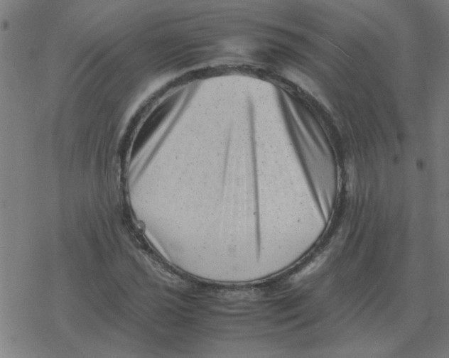 X0000077391021200611101749