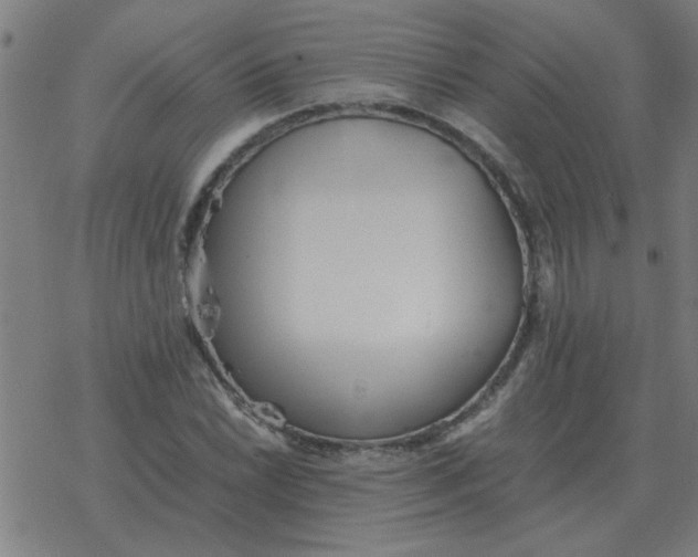 X0000077391022200611101749