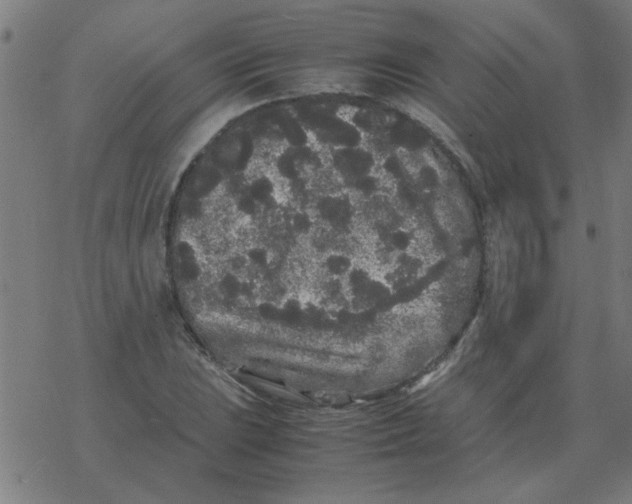 X0000077391023200611101749