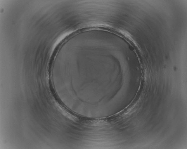 X0000077391024200611101749