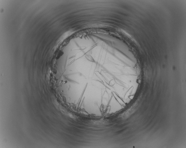 X0000077391025200611101749