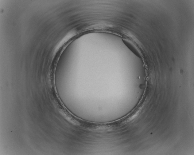 X0000077391026200611101749