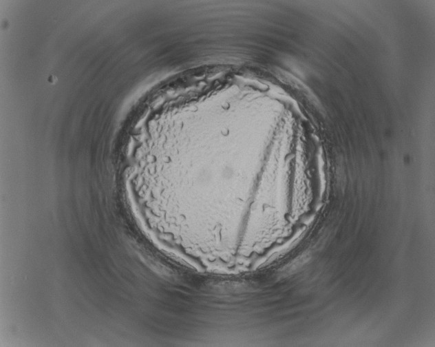 X0000077391027200611101749