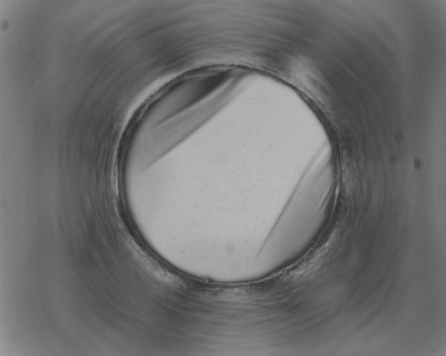 X0000077391028200611101749