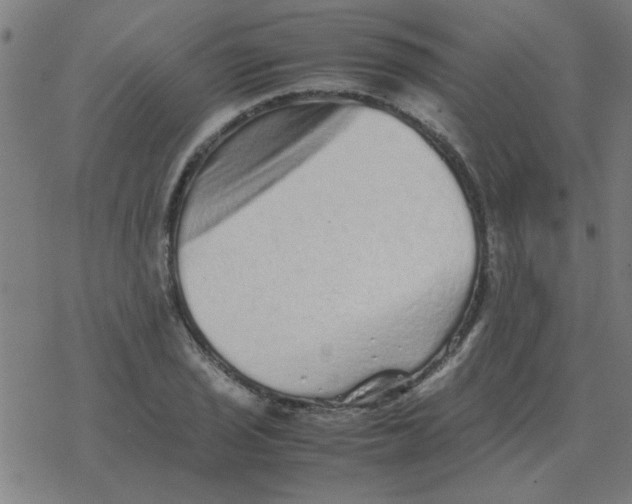 X0000077391029200611101749