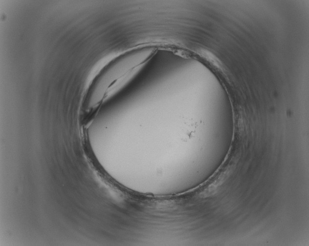 X0000077391030200611101749