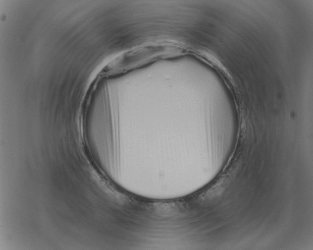 X0000077391032200611101749