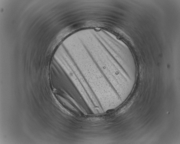 X0000077391033200611101749