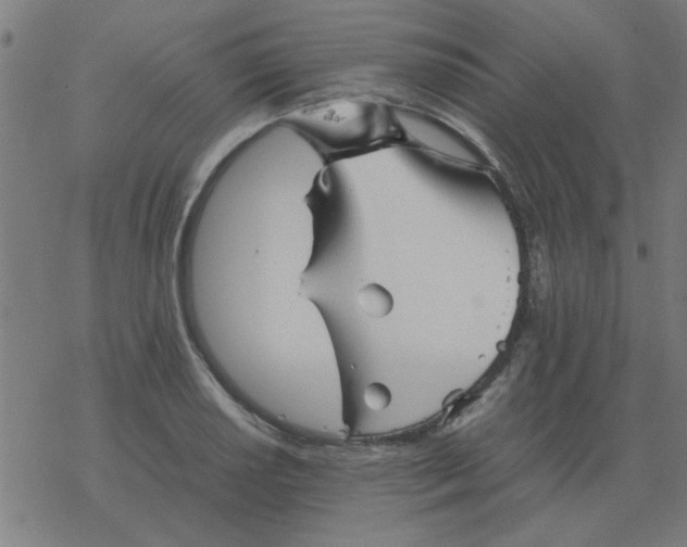 X0000077391034200611101749