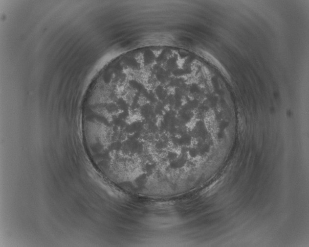 X0000077391035200611101749