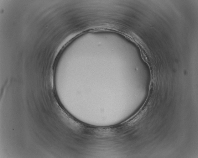 X0000077391036200611101749