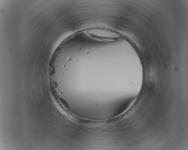 X0000077391038200611101749