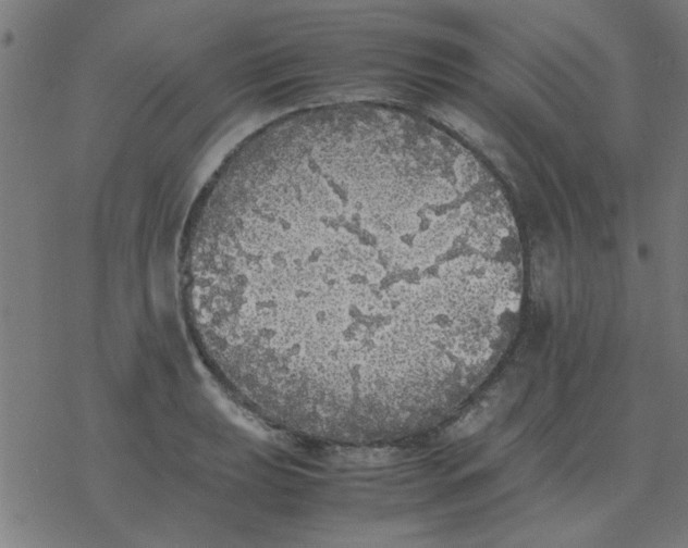 X0000077391039200611101749