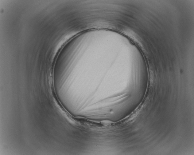 X0000077391040200611101749