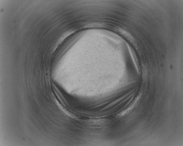 X0000077391041200611101749