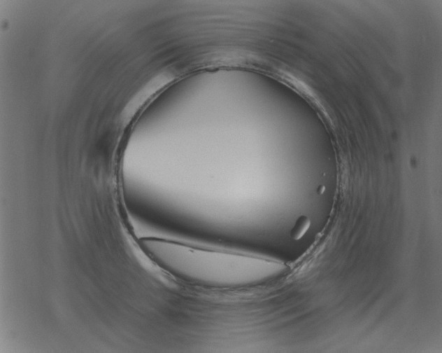 X0000077391042200611101749