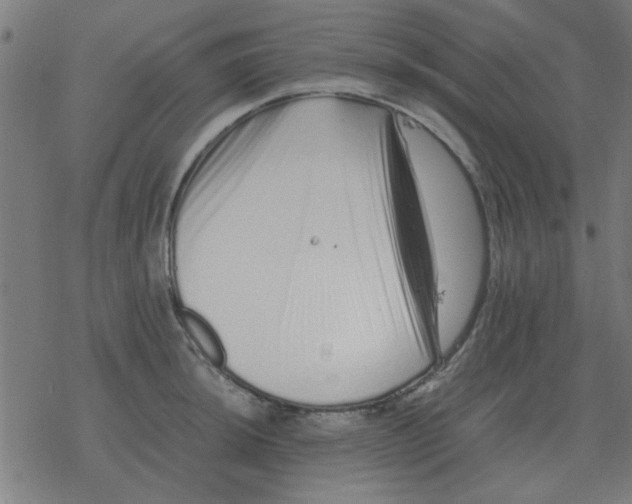 X0000077391044200611101749